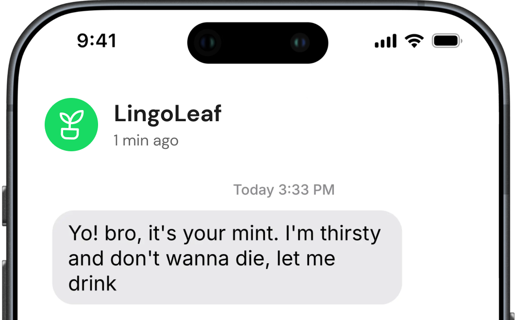 LingoLeaf SMS Preview