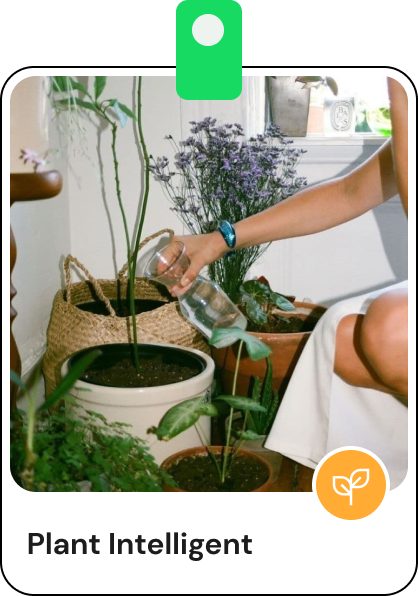 Plant Intelligent