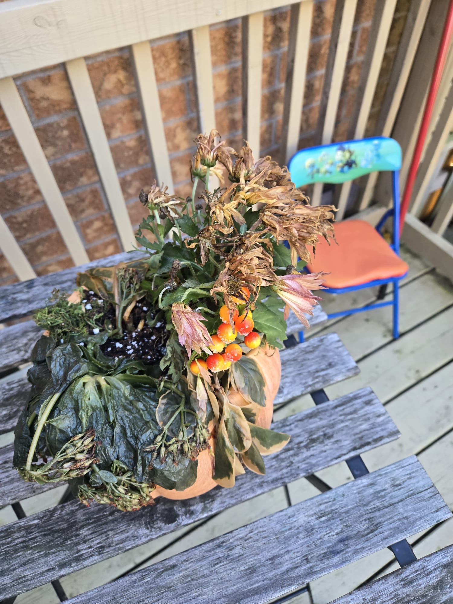 The plant that started LingoLeaf